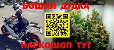 индика Дубна