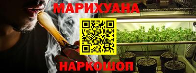 индика Дубна