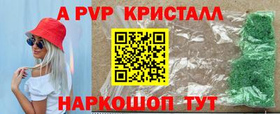 индика Дубна
