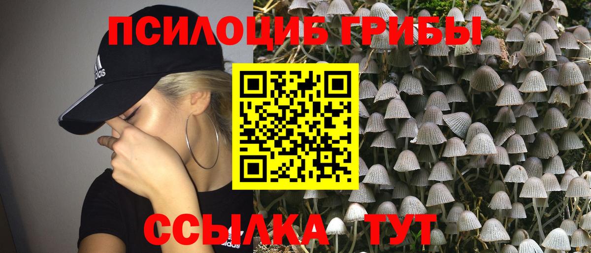 Псилоцибиновые грибы мицелий Лангепас