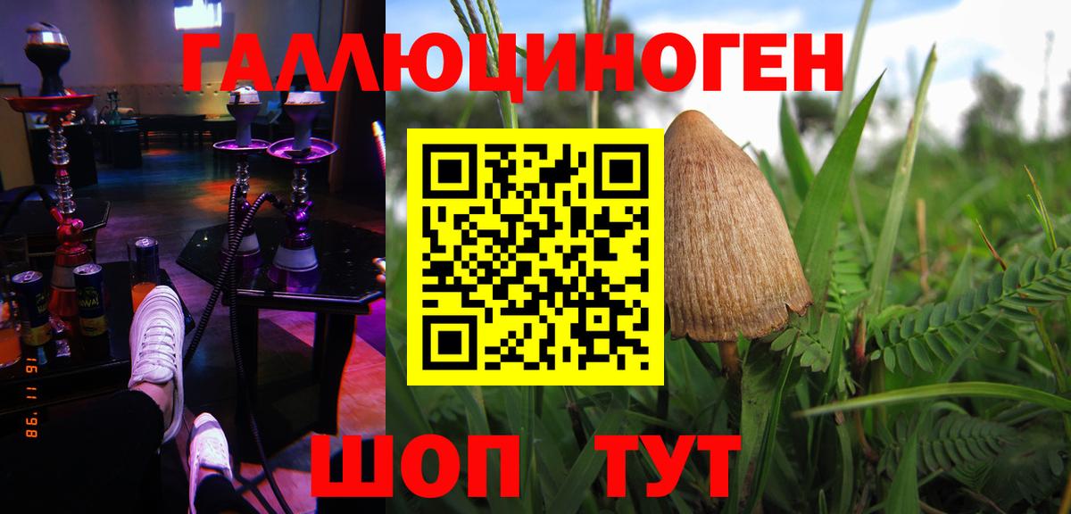 как найти закладки  Псилоцибиновые грибы GOLDEN TEACHER  Вход с VPN  Лангепас 